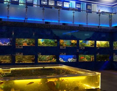 Дом-аквариум, Челябинск — цена билета, официальный сайт, адрес, время  работы, фото