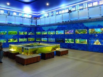 Дом-аквариум в Челябинске - Достопримечательность