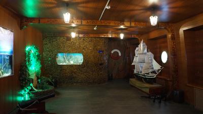Файл:Дом-аквариум в Челябинске2.JPG — Википедия