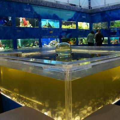 В Челябинске незаконно работал дом-аквариум