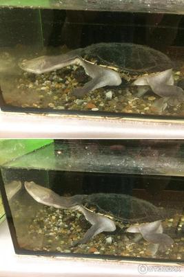 Отзыв о Дом-аквариум (Россия, Челябинск) | Кладовая удивительного мира