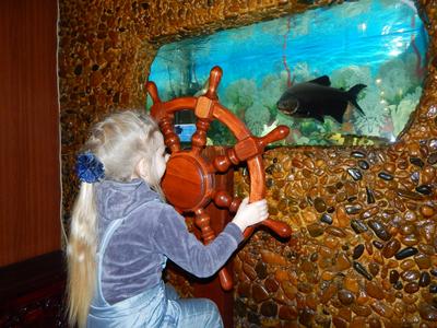 В поисках Немо Где в Челябинске посмотреть уникальных рыб и редких  пресмыкающихся | Челябинский Обзор