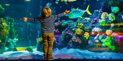 Ребята из Дома ребенка в Челябинске съездили на экскурсию в Дом-аквариум |  Благотворительный фонд «Протяни руку»