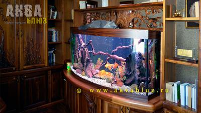 Дом аквариум» в Челябинске обновят к концу лета | РИА Челябинск 24 | Дзен