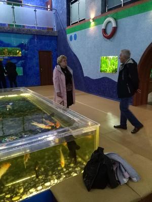 Челябинцам показали, как будет выглядеть после ремонта Дом-аквариум в парке  Тищенко, где можно покормить рыбу из соски