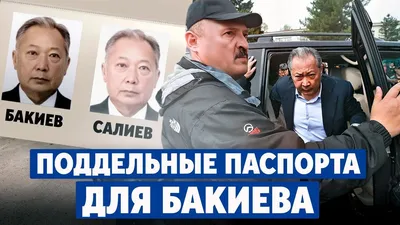 Беларусская программа защиты диктаторов - belsat.eu