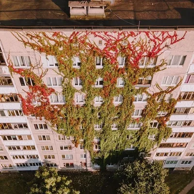Жилой красный дом по улице Максима Танка в Минске