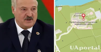 Николай Лукашенко развез первую партию собранного в \"Дроздах\" урожая |  Костюковичи. Новости