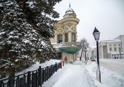 Дом Ушковой в Казани. Красота за стеллажами