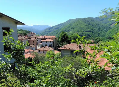 Жительница Калифорнии купила три дома в Италии за $3 - ForumDaily