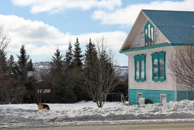 Старый дом в Аляске InUnited положения Америки Стоковое Изображение -  изображение насчитывающей природа, хата: 102826553