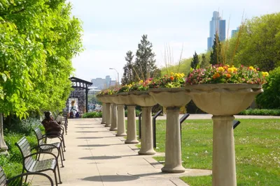 Чикаго: пропуск Go City Explorer — 2–7 достопримечательностей на выбор |  GetYourGuide