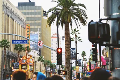 Девять достопримечательностей Лос-Анджелеса, которые не опустошат ваш  бумажник