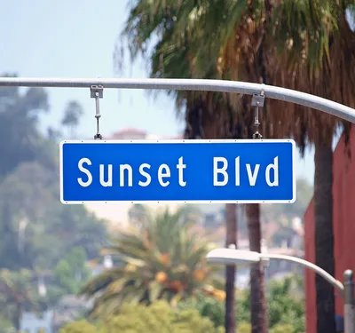 Беверли-Хиллз: дома кинозвезд и достопримечательности Лос-Анджелеса на  eBike | GetYourGuide