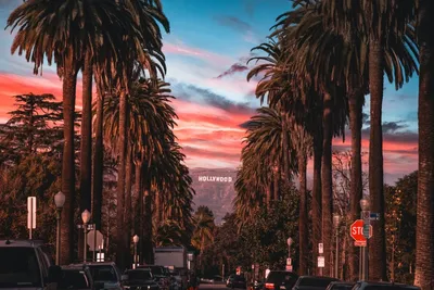 Лос-Анджелес - фото, достопримечательности, погода, что посмотреть в Лос- Анджелесе на карте