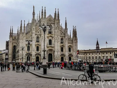 Самые вкусные места Милана: гид по ресторанам и барам Милана во время  iSaloni 2019