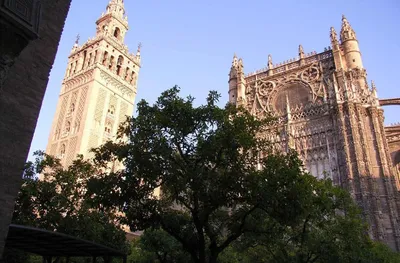 Севилья за 1 день: что посмотреть и попробовать - Барселона10 -  путеводитель по Барселоне