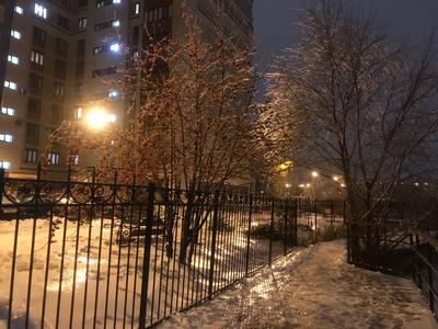 Сегодня в Казани до +15 градусов и небольшой дождь — Реальное время
