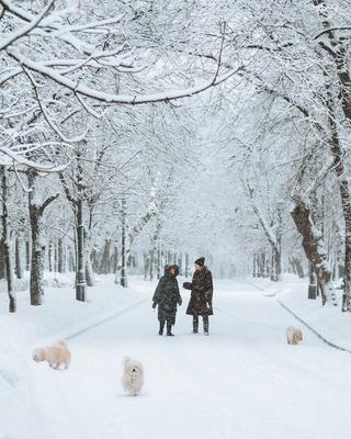 В Москве сегодня ожидается дождь и мокрый снег, атмосферное давление ниже  нормы - Собеседник
