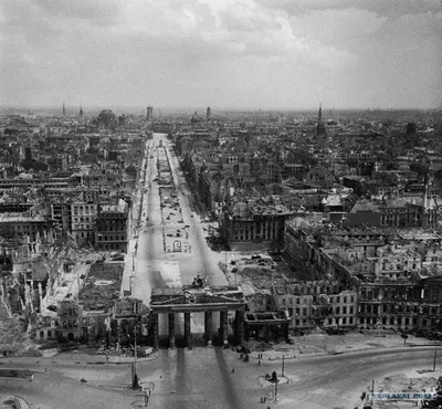 Дрезден — Википедия