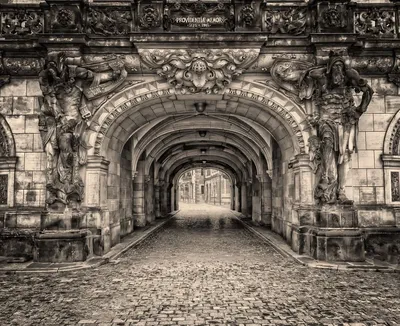 Дрезден: обзорная экскурсия по городу с гидом | GetYourGuide