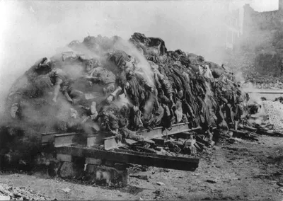 Дрезден объяснил решение реконструировать мемориал жертвам бомбардировок —  РБК