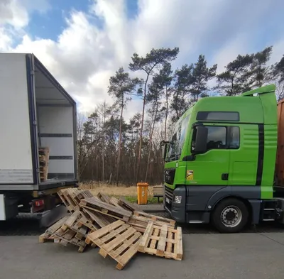 В Германии школьный автобус врезался в дерево. Пострадали 13 детей |  bobruisk.ru