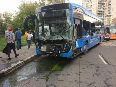 Последствия массового ДТП на трассе Санкт-Петербург — Москва попали на  видео - Мослента