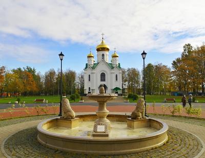 Метро Дубровка - станция метро, которую пропустили при строительстве ветки.  Первая глубокая станция на юге Люблинско-Дмитровской линии. | Урбанист 21  Века | Дзен