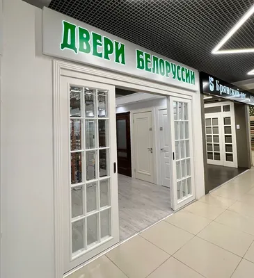 Двери Белоруссии Вена Черная патина с серебром ДО, купить в Москве недорого