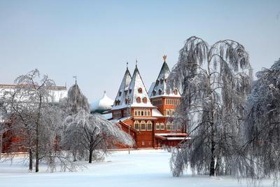 Теремной дворец (Москва)