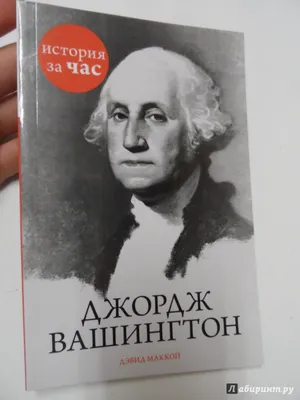 Президент Джордж Вашингтон США смотрит на портрет на США одна кукла  Стоковое Фото - изображение насчитывающей получка, одно: 84991392