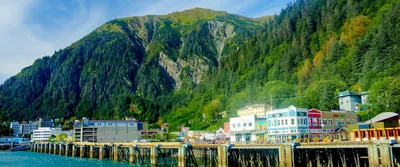 Why Juneau is THE Alaska Whale Watching Destination • Alaska Shore Tours