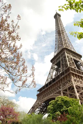 Скачать обои лето, трава, Франция, Париж, Эйфелева башня, Paris, France,  Eiffel Tower, раздел город в разрешении 5600x4000