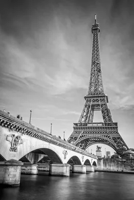 Фотообои Эйфелева башня и мост купить на стену • Эко Обои