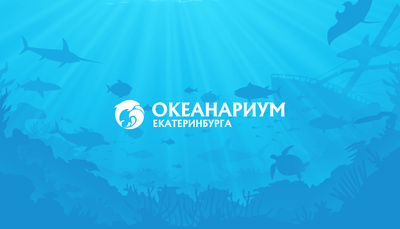 Океанариум в Екатеринбурге — отзыв и оценка — Anastasia Nekrasova