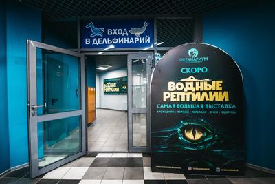 Подводный Мир | Екатеринбург 2023 купить билет Океанариум