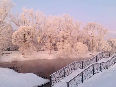 Прогноз погоды в Екатеринбурге на сегодня (Свердловская область) - погода в  Екатеринбурге сейчас, прогноз на завтра и на ближайшие дни - Погода Mail.ru