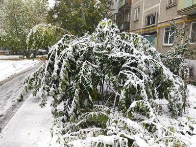 Екатеринбург: что посмотреть, как добраться, погода, сувениры, отели,  транспорт