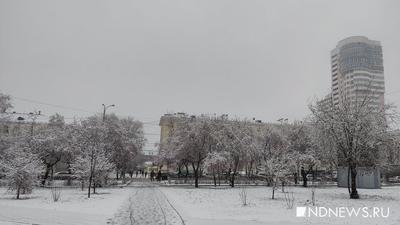 Екатеринбург vs стихия: город второй день заваливает снегом | Деловой  квартал DK.RU — новости Екатеринбурга