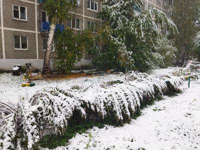 Прогноз погоды в Екатеринбурге на 10 дней — Яндекс.Погода