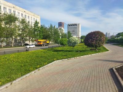Весна в Екатеринбурге | Пикабу