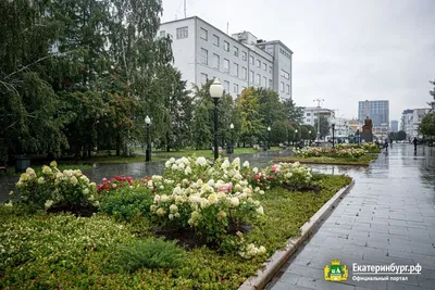 Екатеринбург с высоты птичьего полета. Весна 2012 – EkMap.ru