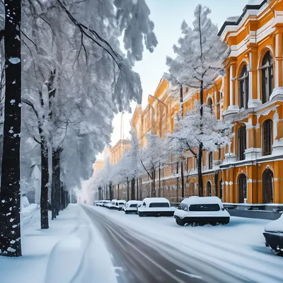 Где покататься на коньках в Екатеринбурге зимой 2021-2022: адреса, цены,  услуги — Наш Урал и весь мир
