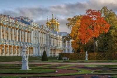 Екатерининский дворец 2024: стоимость, режим работы, аудиогид, история,  фото | Санкт-Петербург Центр