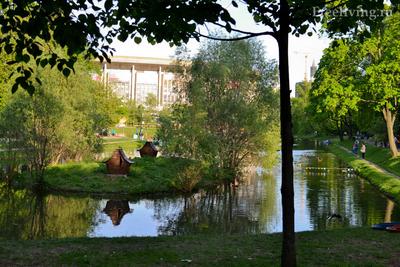 Екатерининский парк в Пушкине (Царское Село): достопримечательности,  расписание, билеты