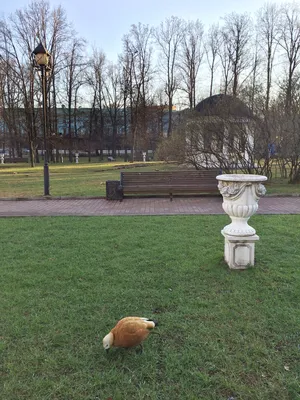 Екатерининский парк. Москва.