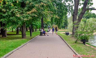 Парк, который уменьшился в размере за несколько веков. Екатерининский парк  в Москве | Что интересного? | Дзен