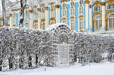 Отзыв о Екатерининский парк (Россия, Москва) | Красота в сердце огромного  мегаполиса