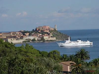 праздник парусный спорт на острове Эльба в Тоскане, Италия - Vacanze in  Barca a Vela nelle isole dell'arcipelago toscano, Weekend e crociere in  barca a vela nell'isVacanze, weekend, crociere in Barca a